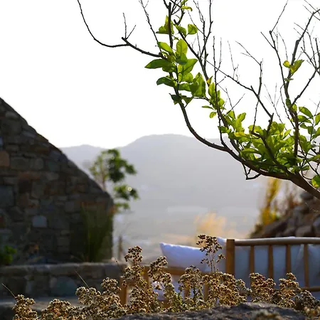 Ortygia Hotel apartamentowy Mykonos Town